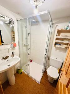 a bathroom with a shower and a toilet and a sink at Vistas y Golf en Adosado Pedreña in Pedreña