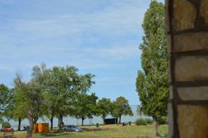 a group of trees in a field next to the water at D-S Apartman Stella in Zamárdi