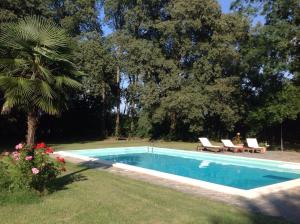 a swimming pool with two chairs and a palm tree at B&b Villa Partitore in Piacenza