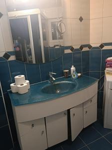 Ένα μπάνιο στο Apartman Adna-Darija +15 φωτογραφίες