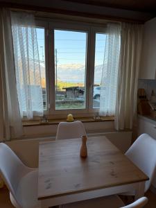 Kraštovaizdis prie apartamentų
