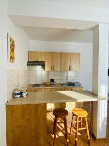 Kuchyň nebo kuchyňský kout v ubytování Apartamenty Gawędówka + 32 fotografií
