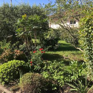 a garden with red flowers and green bushes at chambre avec terrasse et coin repas in Ciboure
