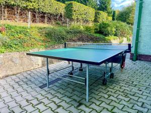 Stolní tenis v ubytování Chata Severka s Wellness nebo okolí