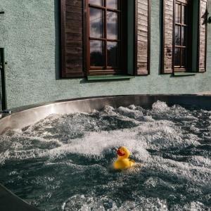 Fotografie z fotogalerie ubytování Chata Severka s Wellness v Rokytnici v Orlických Horách