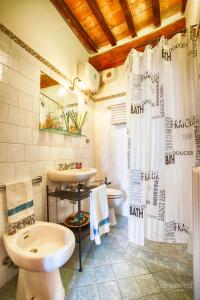 ein Badezimmer mit einem Waschbecken, einem WC und einem Duschvorhang in der Unterkunft Tognazzi Casa Vacanze - Casa Il Giglio in Certaldo