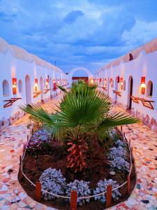 Zahrada ubytování Ghzala hotel dahab