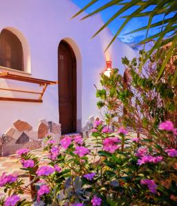 Zahrada ubytování Ghzala hotel dahab + 1 fotografie