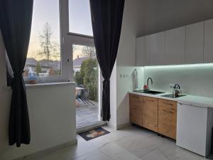 a kitchen with a sink and a large window at Roztoczańskie Apartamenty in Zwierzyniec