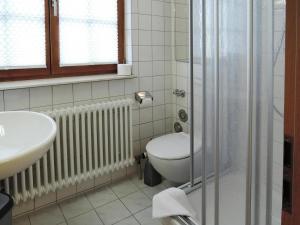 a bathroom with a toilet and a sink and a shower at Apartment in Meersburg by Lake Constance in Meersburg +15 photos