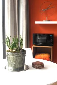 a potted plant sitting on a table in front of a microwave at De bank van Nagele in Nagele