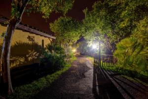 Zahrada ubytování Agriturismo Borgo San Nicolao