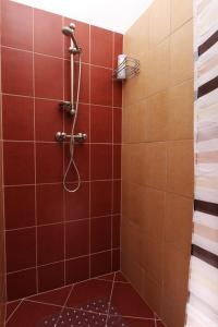 a bathroom with a shower with brown tiles at Mars II. Apartman in Szeged