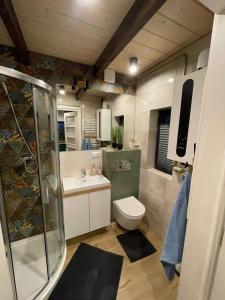 a bathroom with a shower and a toilet and a sink at Domek w Kobylance in Kobylanka +16 photos