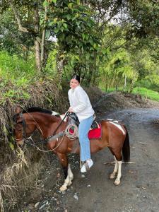 a woman riding a horse on a dirt road at Andean Mot Mot Coffee - Puerto Asís Farm in Aranzazu +12 photos