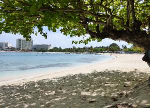 欧丘里欧Beach One Bedroom Suite A29的相册照片