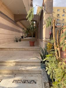 a building with stairs and potted plants on it at pyramids in ‘Ezbet `Abd el-Ḥamîd