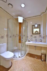 a bathroom with a shower and a toilet and a sink at White House Hotel Istanbul in Istanbul