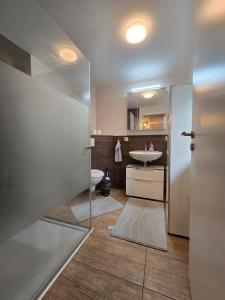 a bathroom with a toilet and a sink at Moritz Apartments - Apartment Pfarrgasse 11 - in Küllstedt +13 photos