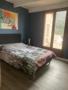 a bedroom with a bed with a colorful blanket at Vacances de rêve vue mer et montagne in Brando +22 photos