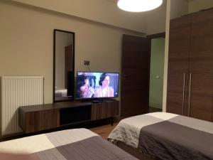 Telewizja i/lub zestaw kina domowego w obiekcie Captains 2-Bedroom Suite in Athens Nea Smyrni
