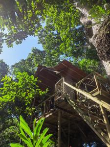 Fotografie z fotogalerie ubytování Treehouse Tayrona v destinaci Santa Marta