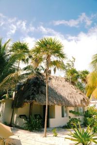 a palm tree in front of a building with a thatch roof at Hotel Cielo y Selva in Punta Allen +87 photos