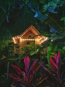 Vrt pred nastanitvijo Treehouse Tayrona