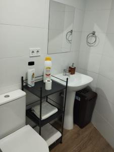 Koupelna v ubytování Apartamento tipo Loft HM Vista Alegre Madrid