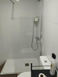 Koupelna v ubytování Apartamento tipo Loft HM Vista Alegre Madrid