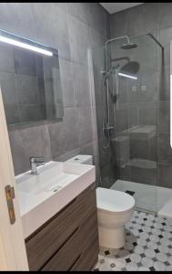 a bathroom with a toilet and a sink and a shower at Casa do Leão in Évora