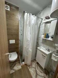 Kylpyhuone majoituspaikassa Apartmani Mojić Divčibare 2