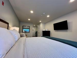 Μια τηλεόραση ή/και κέντρο ψυχαγωγίας στο The Suites 1BR with Ski rental