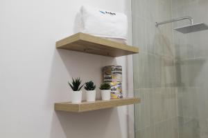 a bathroom with three plants sitting on wooden shelves at Tribu Chapultepec 67 in Guadalajara +179 photos