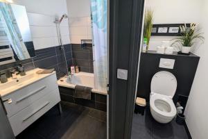 ein Badezimmer mit Toilette, Waschbecken und Badewanne in der Unterkunft Grand duplex - Parking privé - Centre - Calme in Toulouse + 25 Fotos