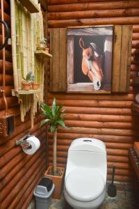 a bathroom with a toilet with a picture of a horse at Cabaña Caballo Dorado in Guarne