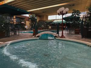 Bazén v ubytování Quality Inn & Suites Fort Collins nebo v jeho okolí
