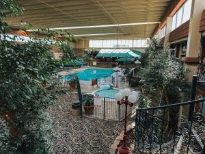Bazén v ubytování Quality Inn & Suites Fort Collins nebo v jeho okolí
