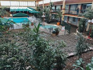 Zahrada ubytování Quality Inn & Suites Fort Collins