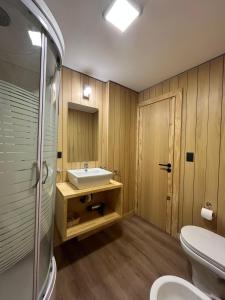 a bathroom with a sink and a toilet and a mirror at Departamentos en Villa La Angostura con ubicación ideal in Villa La Angostura