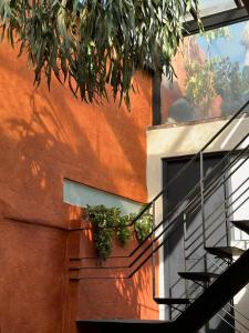 two plants on a window sill of a building at Casa H in San Miguel de Allende