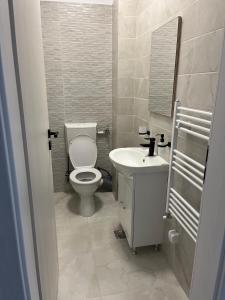 a bathroom with a toilet and a sink at Kyr house 2 in Piteşti