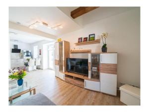 a living room with a large flat screen tv at Holiday Apartment Haus Teichblick in Großzschepa