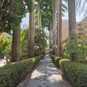 a walkway with palm trees and umbrellas at Apartamento em Recife in Recife