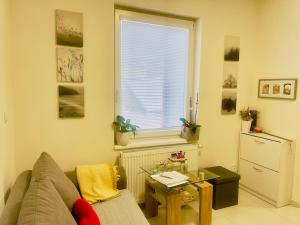 Una sala de estar con un sofá y una mesa y una ventana. en Modern and Cozy flat, 10 min by tram from centre, en Juliánov 24 fotos más