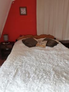 Gallery image of Casa Villarrica, El Alba 2128 in Villarrica