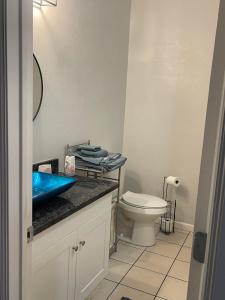 Un baño con un lavabo azul y un inodoro. en Simple Modern House, en Oklahoma City