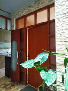 a large wooden door in a room with a plant at Alojamiento Místico in Ayacucho