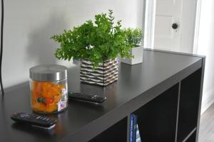 Foto dalla galleria di Lima Downtown 1 Bdrm Oasis a Lima