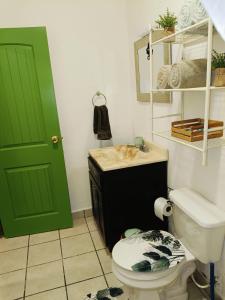 un bagno con una porta verde, un water e un lavandino di loft rosy a Puerto Peñasco
